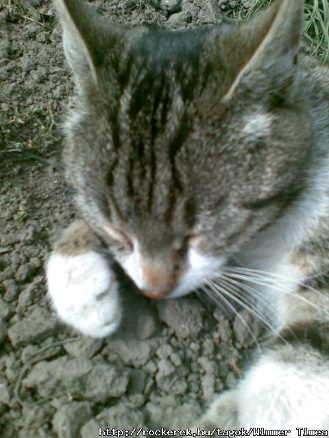 Kicsi