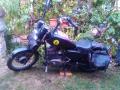 MZ-m