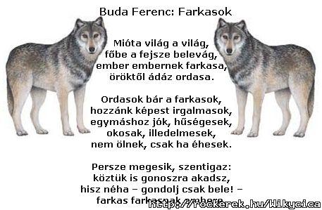 farkasok