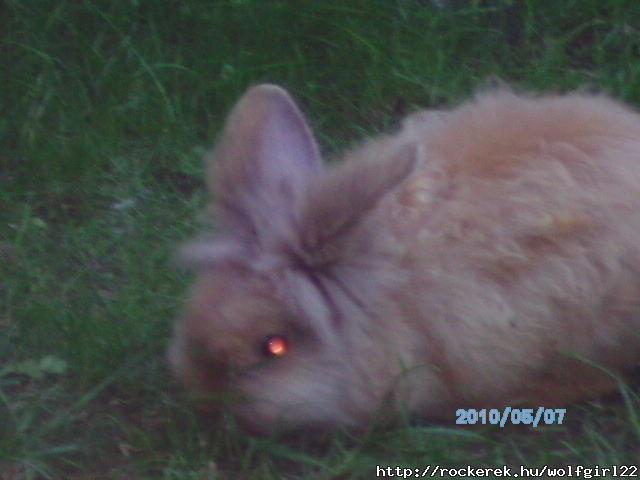 PICT0343
