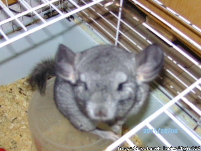 PICT0532