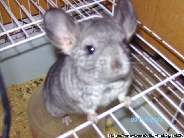 PICT0534