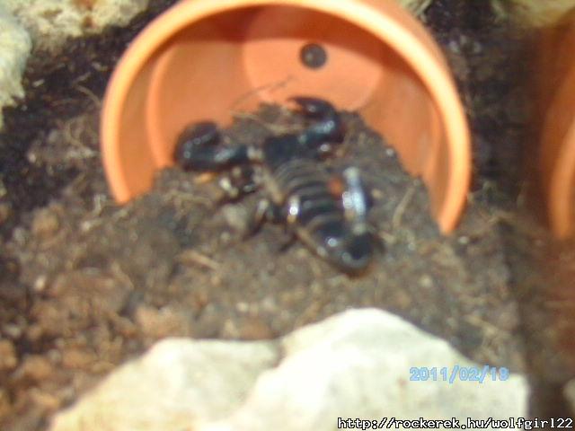 PICT0637