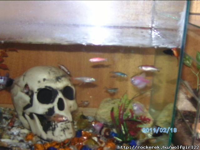 PICT0640