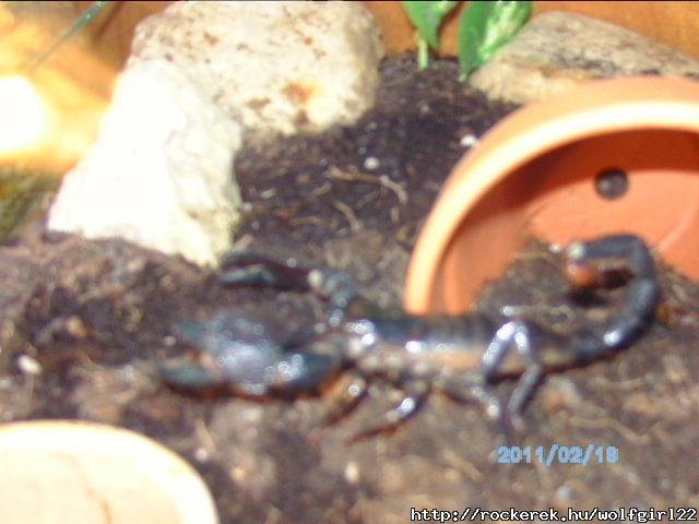 PICT0649