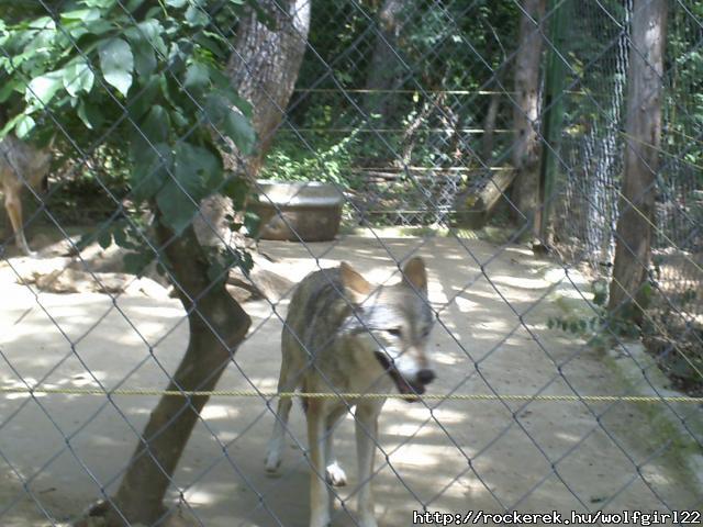 PICT0202