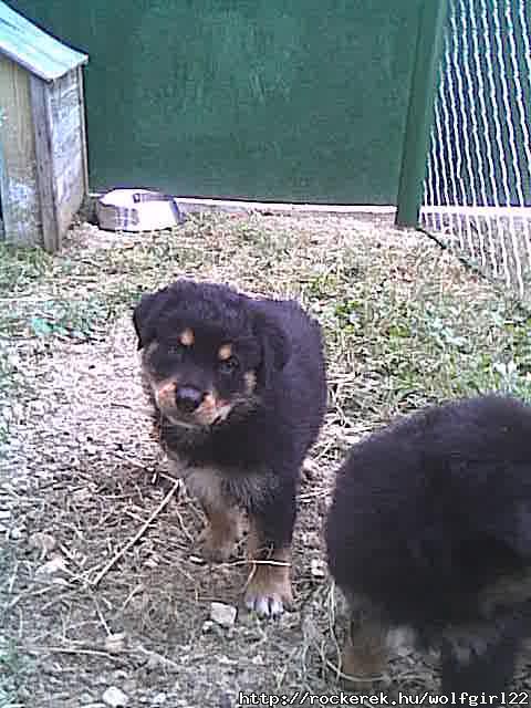 !cid__Cam000213