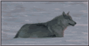 74678