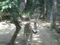 PICT0202