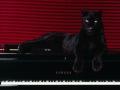 BlackTigerPiano