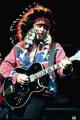 Nugent 12