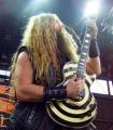 Zakk in action 2