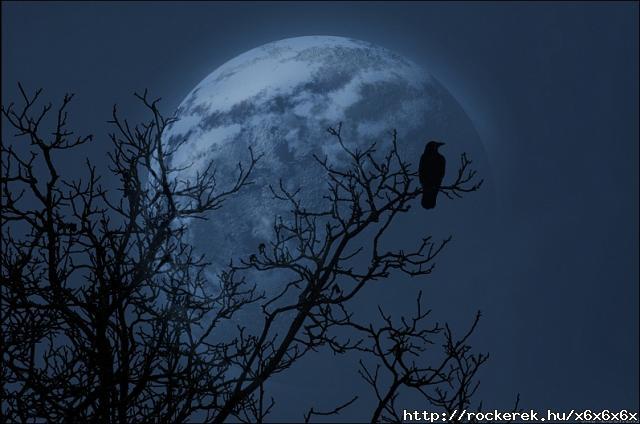 crow