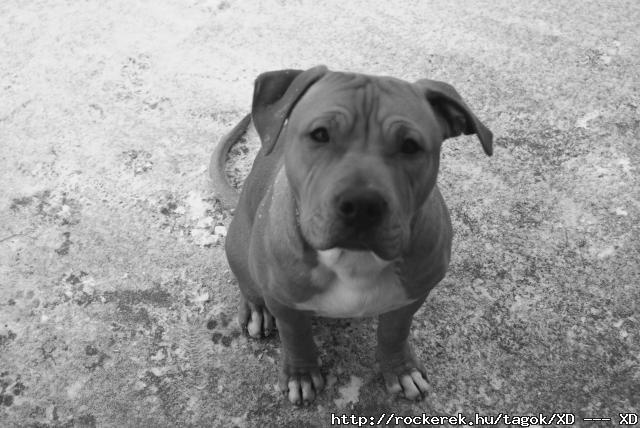 Clyde