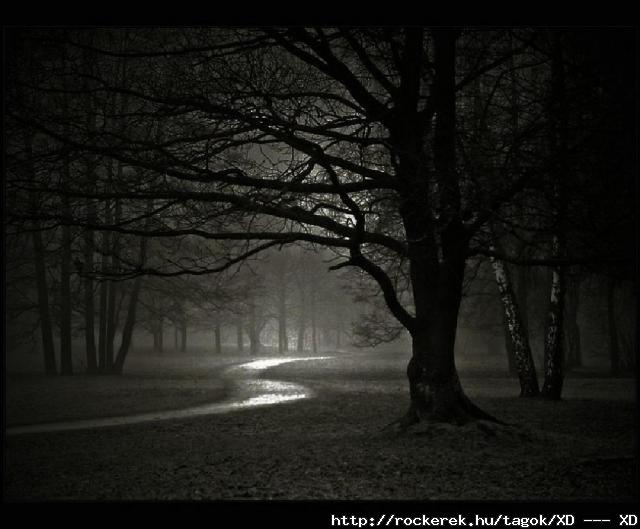 werewolf-forest-night-dark