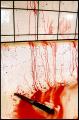 blood