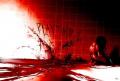 bloodzot