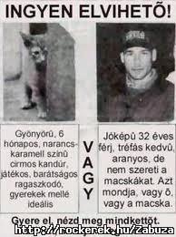 Ingyen van! Vigyed! Itt ne hagyd!