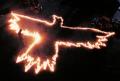 The Crow