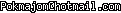 msn