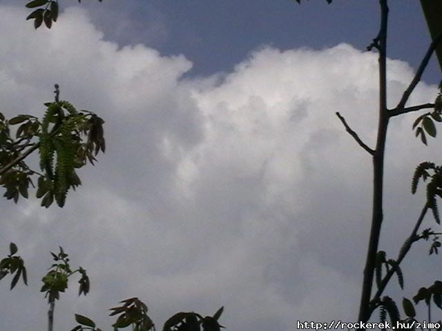 IMGA0411