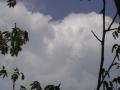IMGA0411