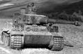 Akrhogy is fj a legszexibb tank ami legrdlt a gyrtsorrl