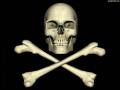 crossbones1600