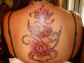 lotus