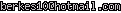 msn