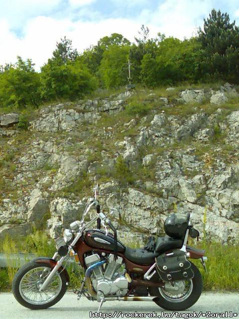 FELVIDK098