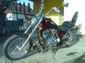 ZORALL046