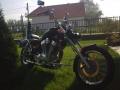 ZORALL0272