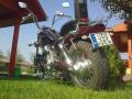 ZORALL0278