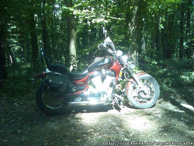 ZORALL037