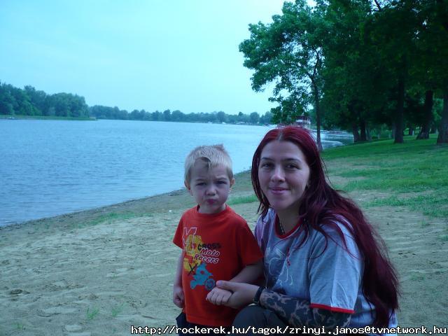 A TISZA PARTJN.