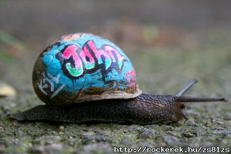 graffiti- a mvszet az mvszet:)