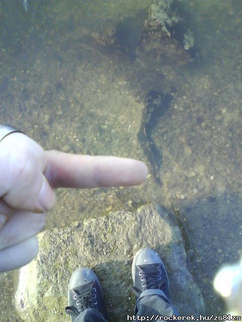 krlek ne tedd....