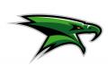 Eagles
