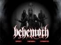 Behemoth