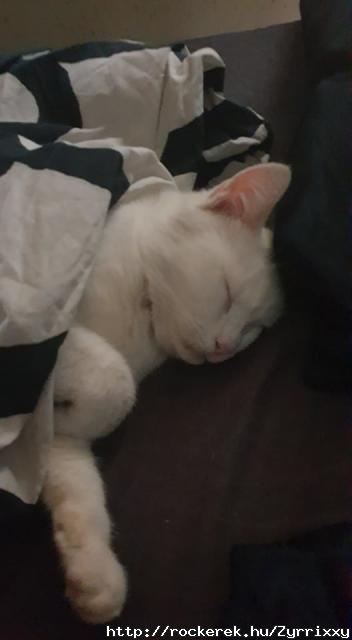 Tojs :3