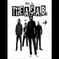 A.C.A.B - This Is The A.C.A.B