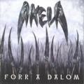 Akela zenekar - Forr A Dalom