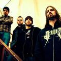 Allegaeon