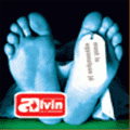 Alvin és a mókusok - Most is ugyanolyan jó