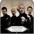 Animal Alpha - You Pay for the Whole Seat, but You