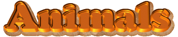 Animals logo