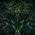 Annotations of an Autopsy - Before the Throne of Infection