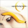 A Perfect Circle - Thirteenth Steps