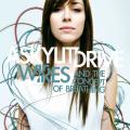 A Skylit Drive - Wires...And The Concept Of Breathing